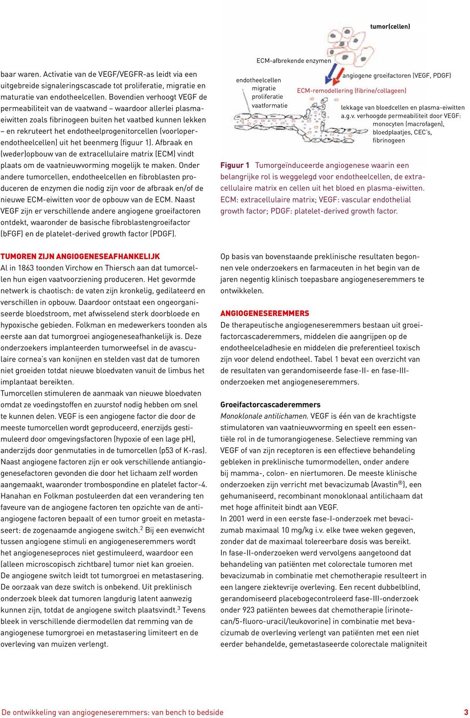 (voorloperendotheelcellen) uit het beenmerg (figuur 1). Afbraak en (weder)opbouw van de extracellulaire matrix (ECM) vindt plaats om de vaatnieuwvorming mogelijk te maken.