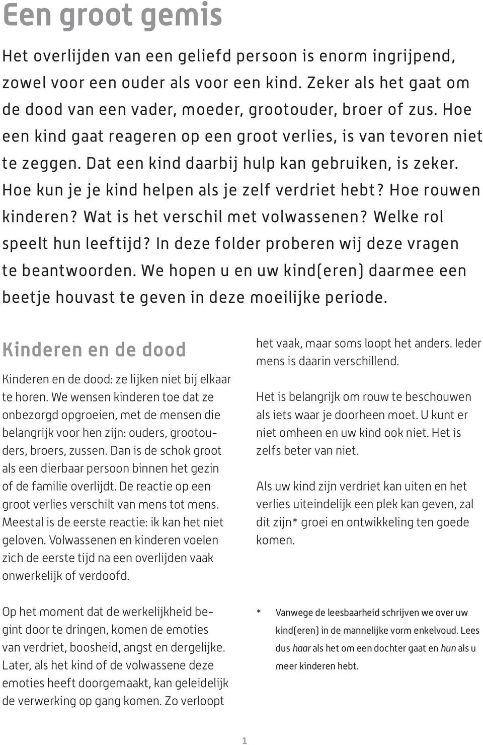 Hoe rouwen kinderen? Wat is het verschil met volwassenen? Welke rol speelt hun leeftijd? In deze folder proberen wij deze vragen te beantwoorden.