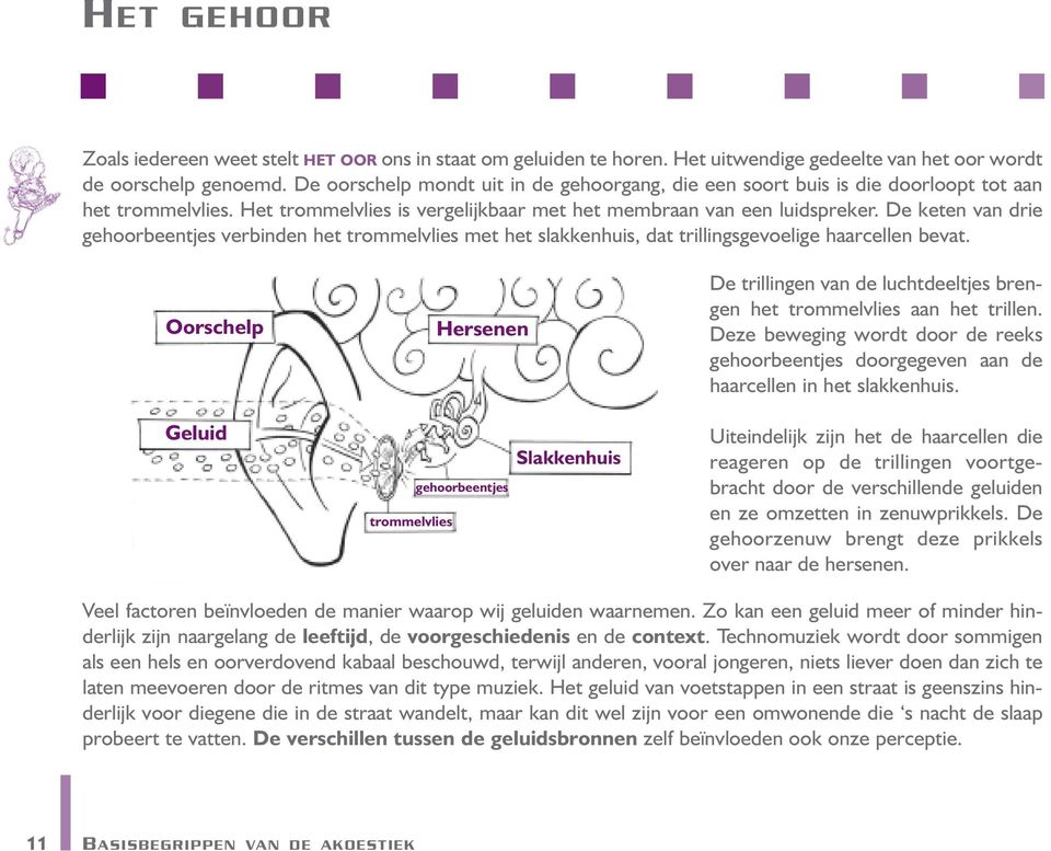 De keten van drie gehoorbeentjes verbinden het trommelvlies met het slakkenhuis, dat trillingsgevoelige haarcellen bevat.