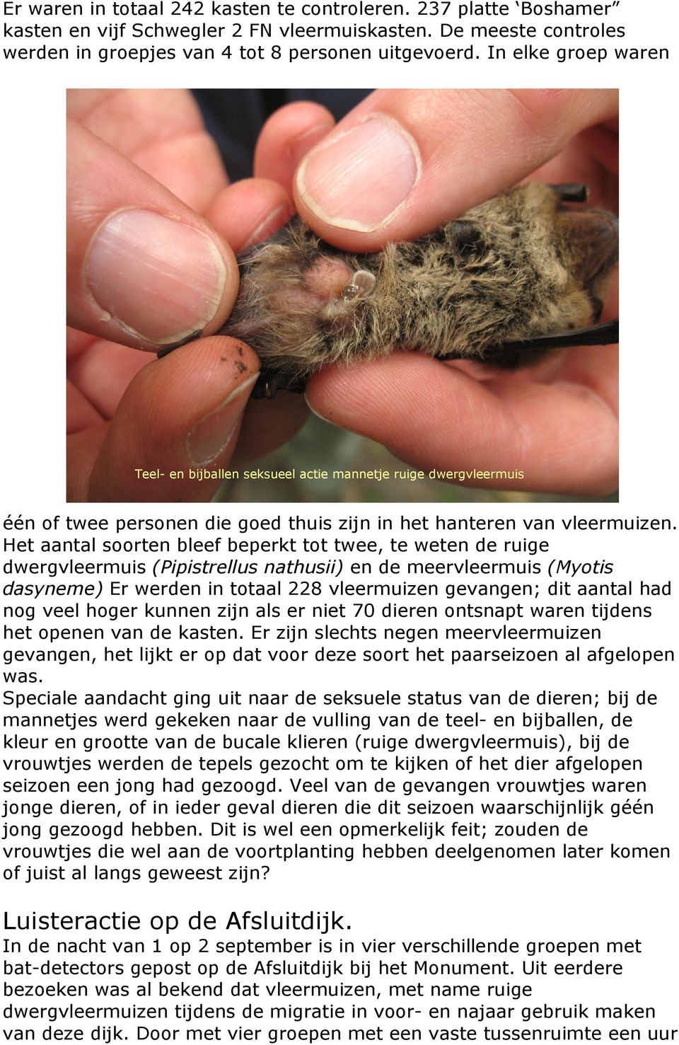 Het aantal soorten bleef beperkt tot twee, te weten de ruige dwergvleermuis (Pipistrellus nathusii) en de meervleermuis (Myotis dasyneme) Er werden in totaal 228 vleermuizen gevangen; dit aantal had