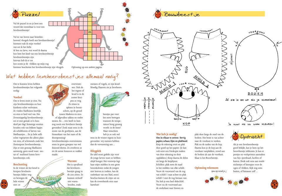 op mijn rug hiermee beschermt het lieveheersbeestje zijn vleugels m m Oplossing op een andere pagina. Bouwbeestje Wat hebben lieveheersbeestjes allemaal nodig?