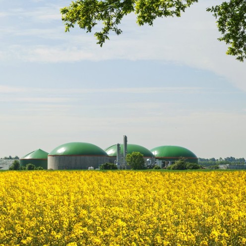 Het GLB na 2020: Schets voor een herontwerp Theo Vogelzang et.