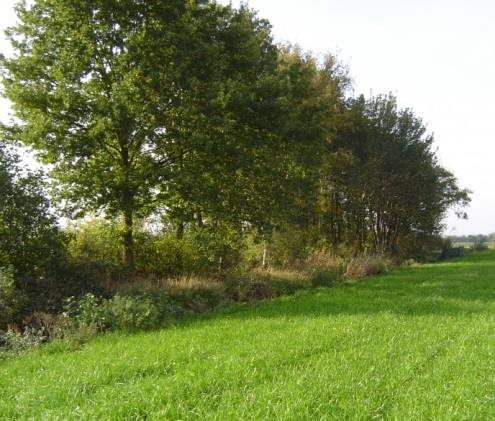 Bouwen aan een landschap voor bijen Een regionaal netwerk van leefgebieden voor