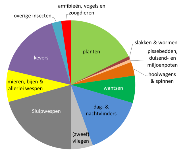 De tuin in Leicester (UK) (1972 2001) 2637 soorten planten en dieren Insecten: 75% Alleen díe groepen