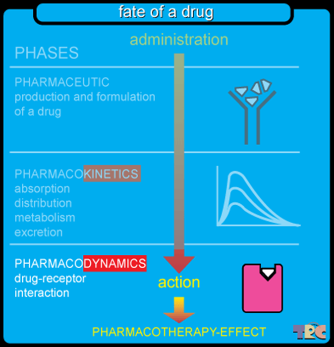 Doel: Therapeutische Bloedspiegel