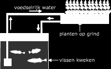 Kringlopen en duurzaamheid Intro Kringlopen en duurzaamheid In module: Energiebronnen van de toekomst van dit thema zijn de assimilatie en de dissimilatie aan de orde gekomen.