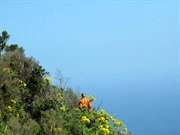 eilanden: La Gomera, La Palma, Hierro en Gran Canaria. Wandeling: 12 km, 600m stijgen en dalen, ca. 5 uur lopen. Het is mogelijk, voor de liefhebbers, om de Teide te beklimmen.