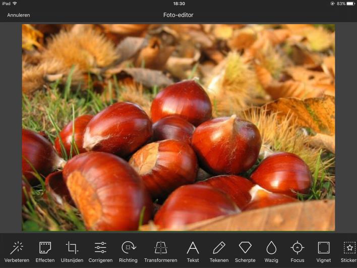 Photo Editor In de Photo Editor beschikt u over 19 gereedschappen om uw foto te bewerken Tik na elke bewerking op 'Toepassen' om uw bewerking vast te leggen of op 'Annuleren' om de bewerking ongedaan