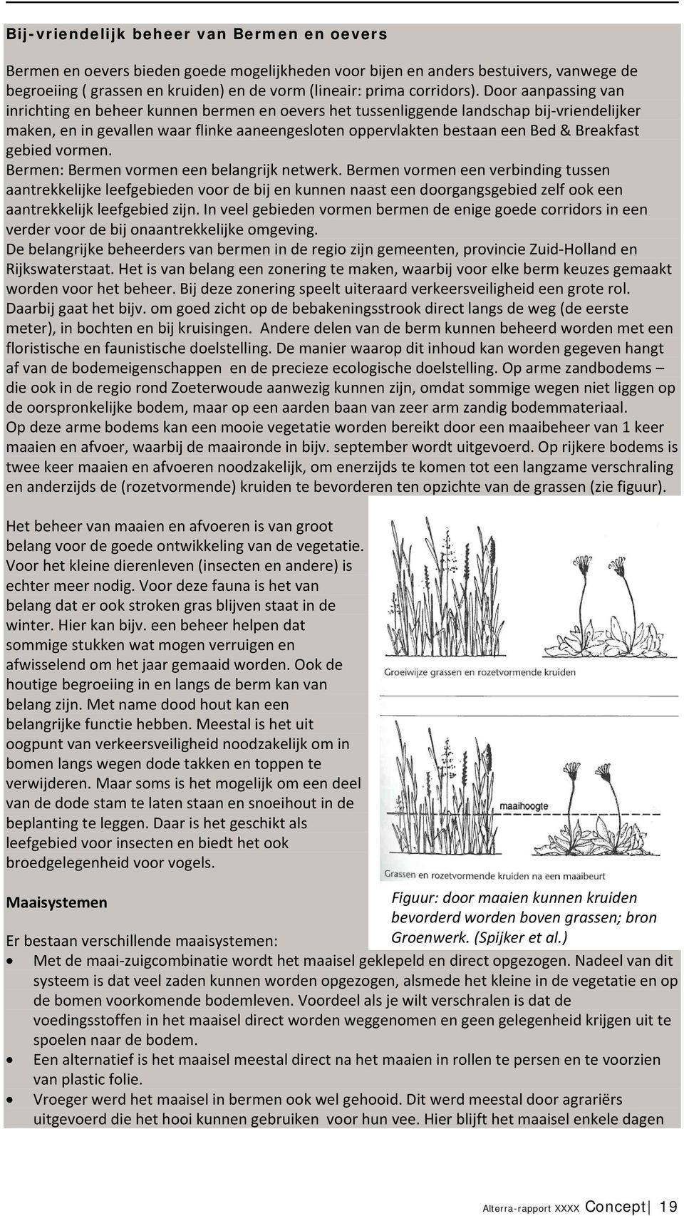 Door aanpassing van inrichting en beheer kunnen bermen en oevers het tussenliggende landschap bij vriendelijker maken, en in gevallen waar flinke aaneengesloten oppervlakten bestaan een Bed &