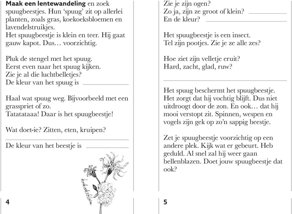 Tatatataaa! Daar is het spuugbeestje! Wat doet-ie? Zitten, eten, kruipen? De kleur van het beestje is Zie je zijn ogen? Zo ja, zijn ze groot of klein? En de kleur? Het spuugbeestje is een insect.