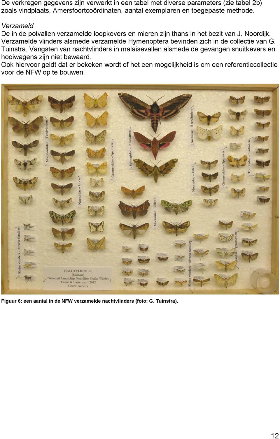 Verzamelde vlinders alsmede verzamelde Hymenoptera bevinden zich in de collectie van G. Tuinstra.