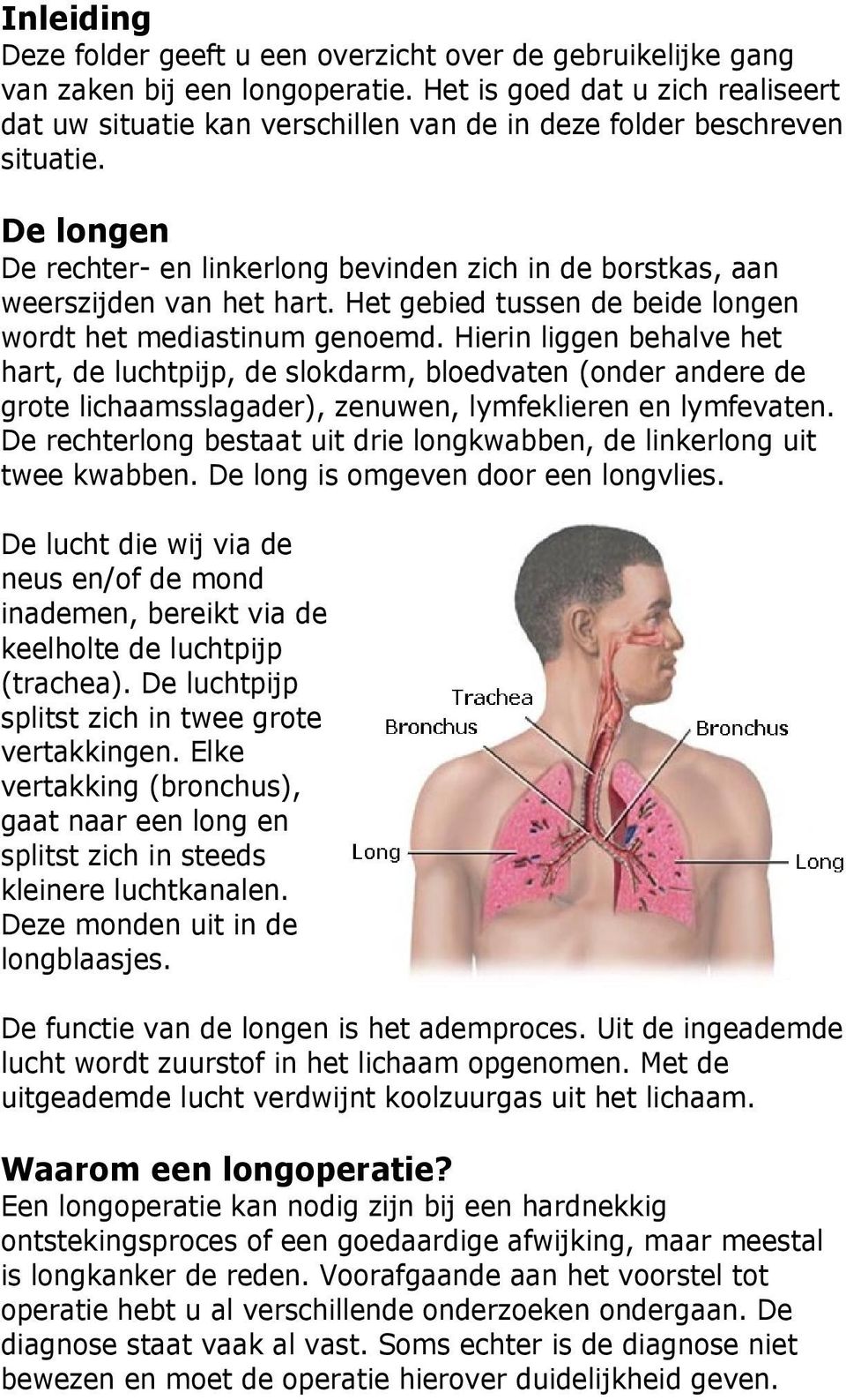 De longen De rechter- en linkerlong bevinden zich in de borstkas, aan weerszijden van het hart. Het gebied tussen de beide longen wordt het mediastinum genoemd.