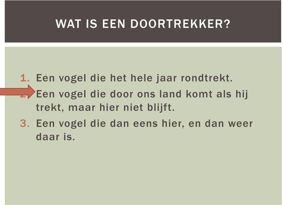 Een vogel die door ons land komt als hij trekt,