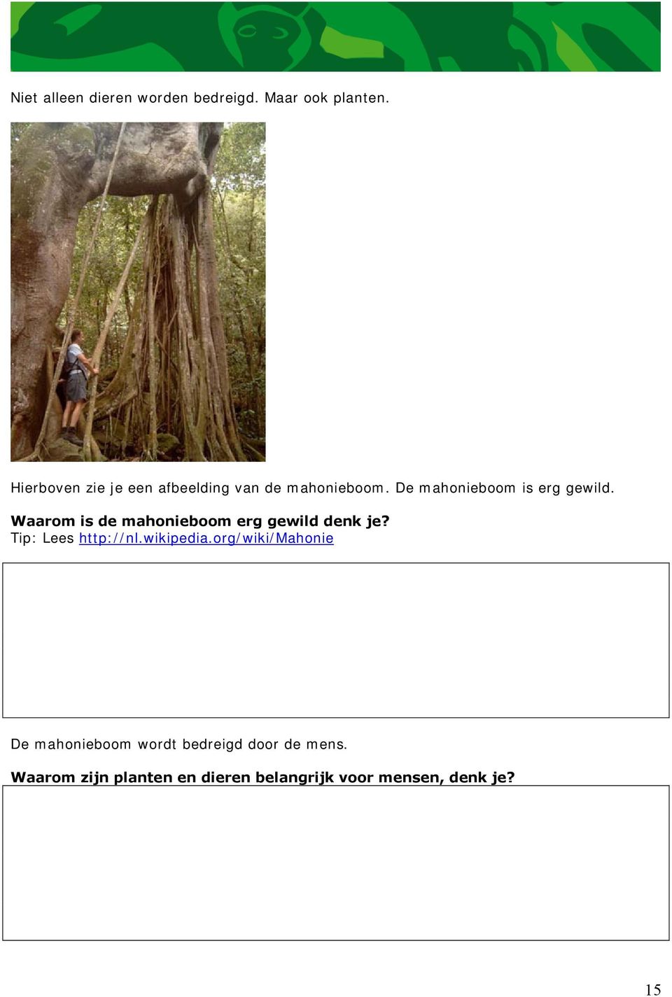Waarom is de mahonieboom erg gewild denk je? Tip: Lees http://nl.wikipedia.