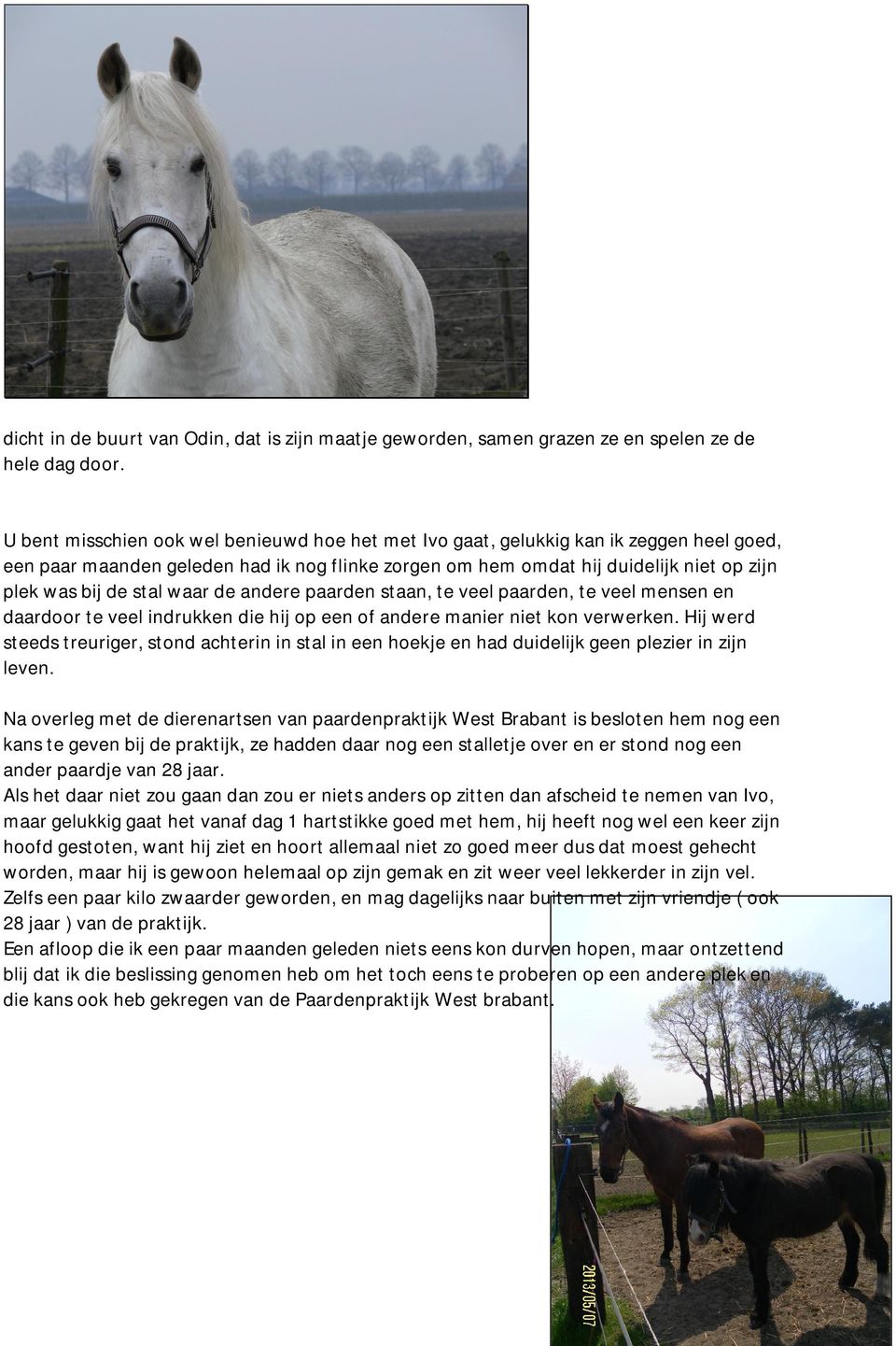 stal waar de andere paarden staan, te veel paarden, te veel mensen en daardoor te veel indrukken die hij op een of andere manier niet kon verwerken.