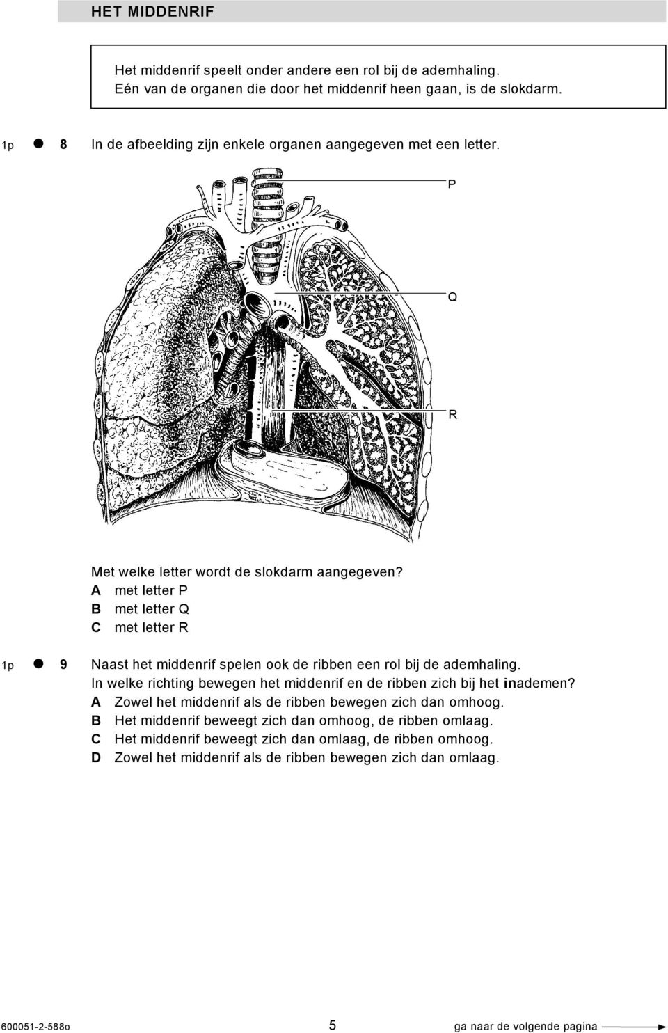 A met letter P B met letter Q C met letter R 1p 9 Naast het middenrif spelen ook de ribben een rol bij de ademhaling.