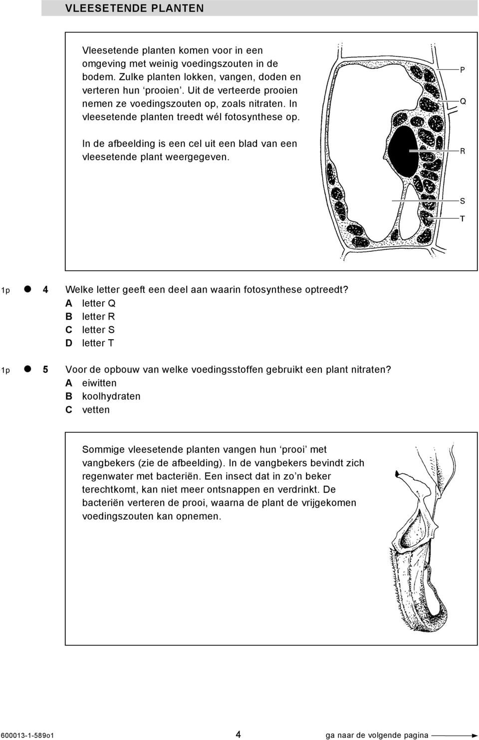 1p 4 Welke letter geeft een deel aan waarin fotosynthese optreedt? A letter Q B letter R C letter S D letter T 1p 5 Voor de opbouw van welke voedingsstoffen gebruikt een plant nitraten?