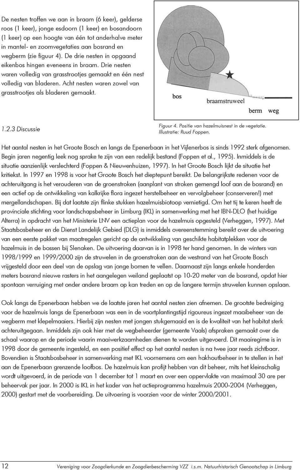 Acht nesten waren zowel van grasstrootjes als bladeren gemaakt. 1.2.3 Discussie Figuur 4. Positie van hazelmuisnest in de vegetatie. Illustratie: Ruud Foppen.