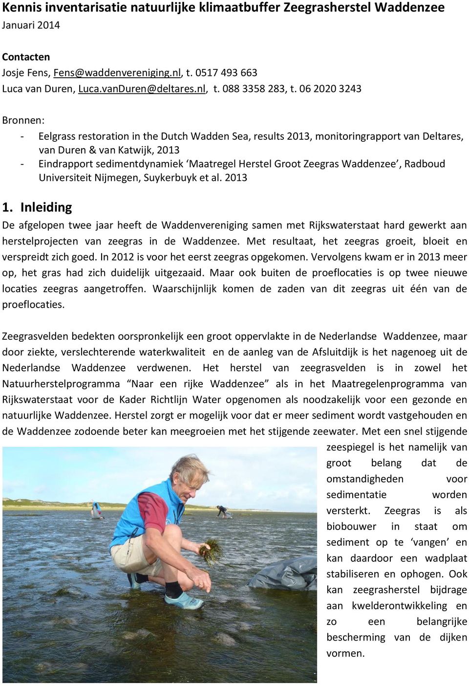 Groot Zeegras Waddenzee, Radboud Universiteit Nijmegen, Suykerbuyk et al. 2013 1.