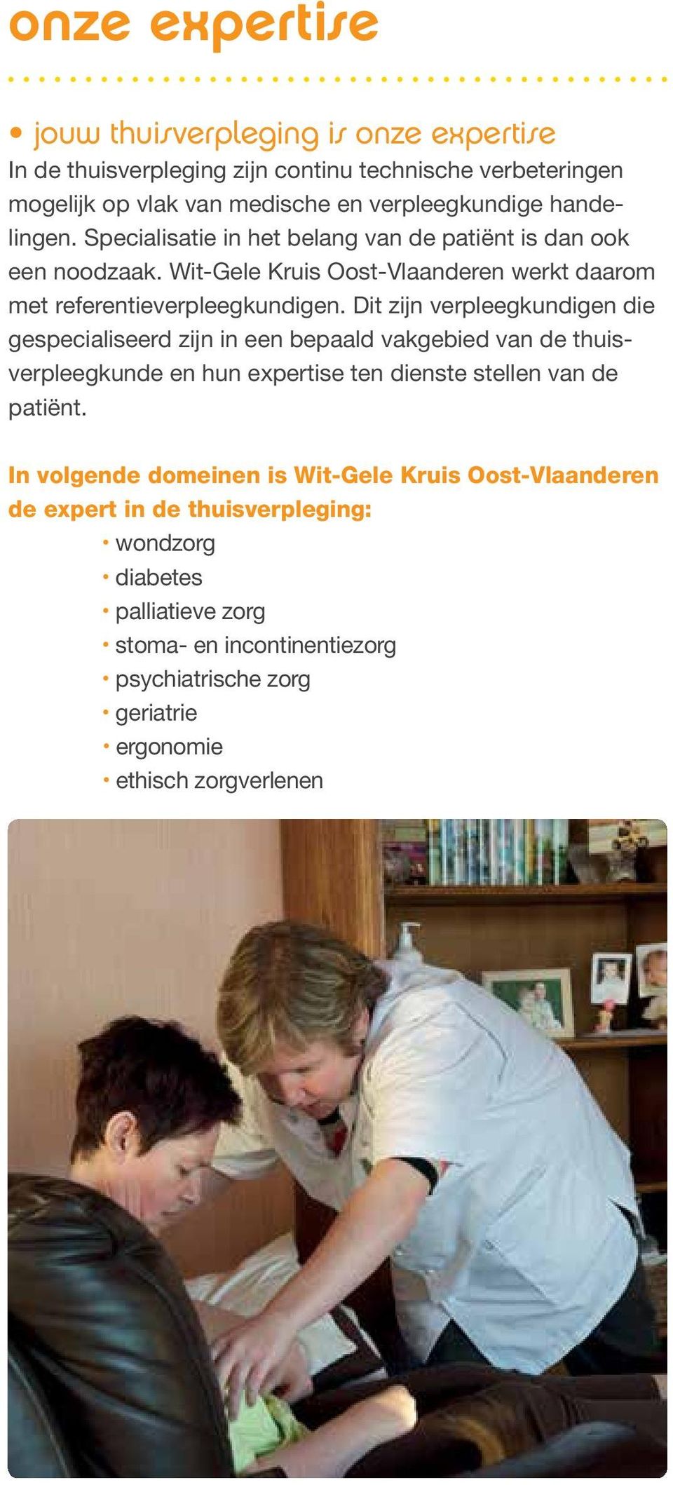 Dit zijn verpleegkundigen die gespecialiseerd zijn in een bepaald vakgebied van de thuisverpleegkunde en hun expertise ten dienste stellen van de patiënt.