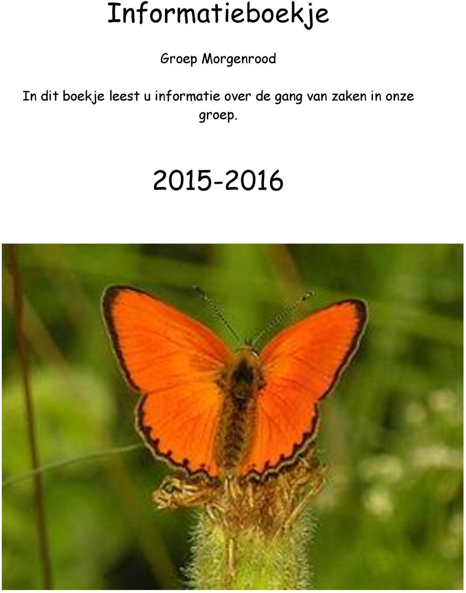 leest u informatie over de