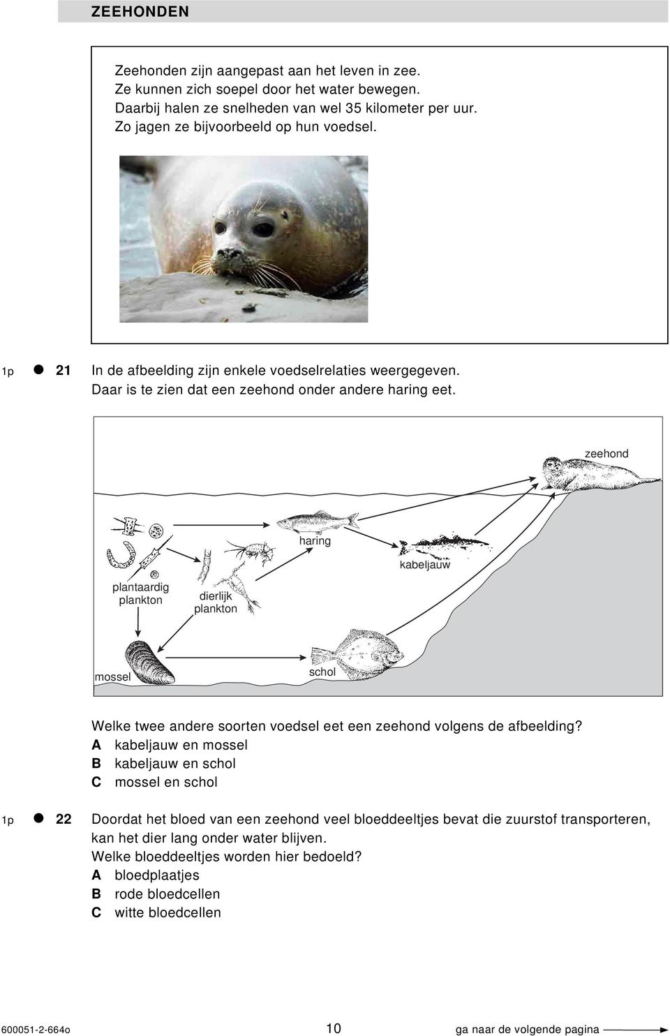 zeehond haring kabeljauw plantaardig plankton dierlijk plankton mossel schol Welke twee andere soorten voedsel eet een zeehond volgens de afbeelding?