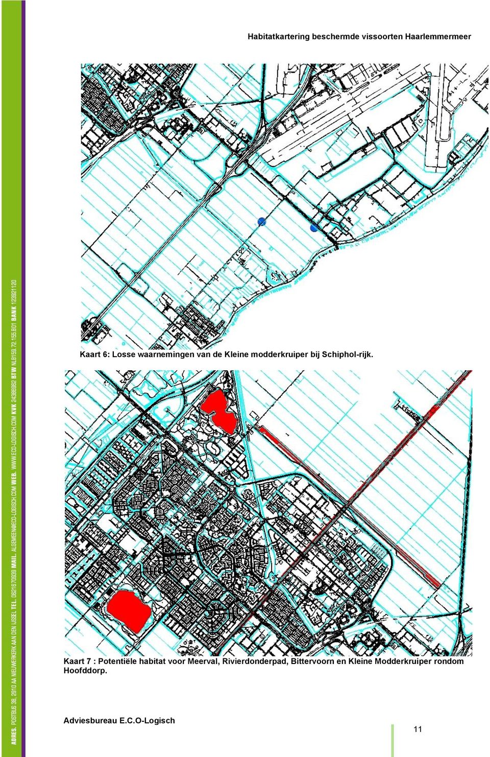 Kaart 7 : Potentiële habitat voor Meerval,