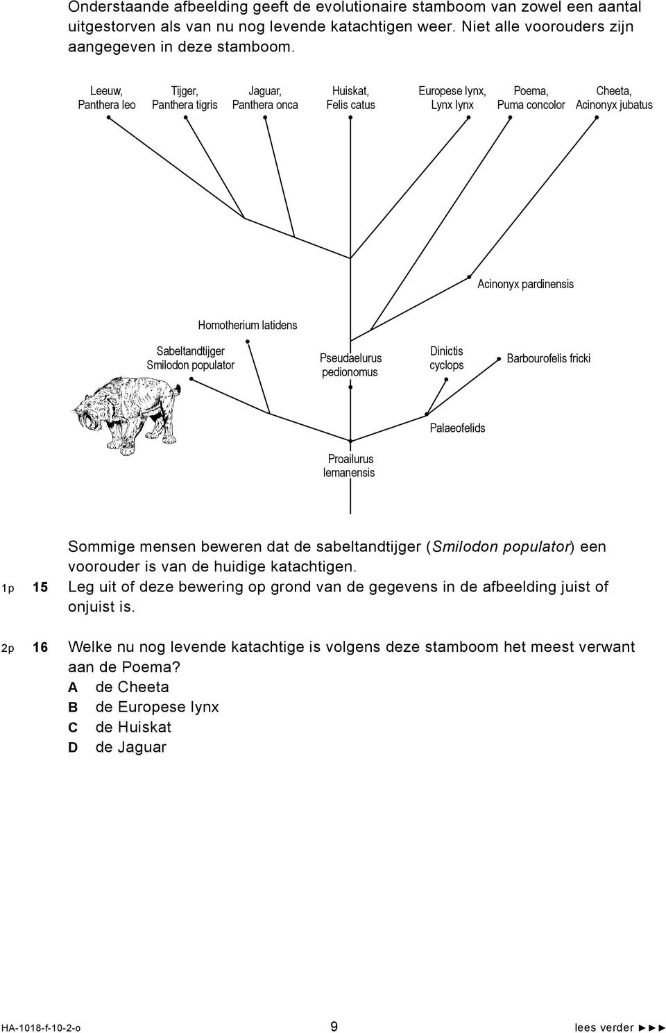 Sabeltandtijger Smilodon populator Pseudaelurus pedionomus Dinictis cyclops Barbourofelis fricki Palaeofelids Proailurus lemanensis Sommige mensen beweren dat de sabeltandtijger (Smilodon populator)