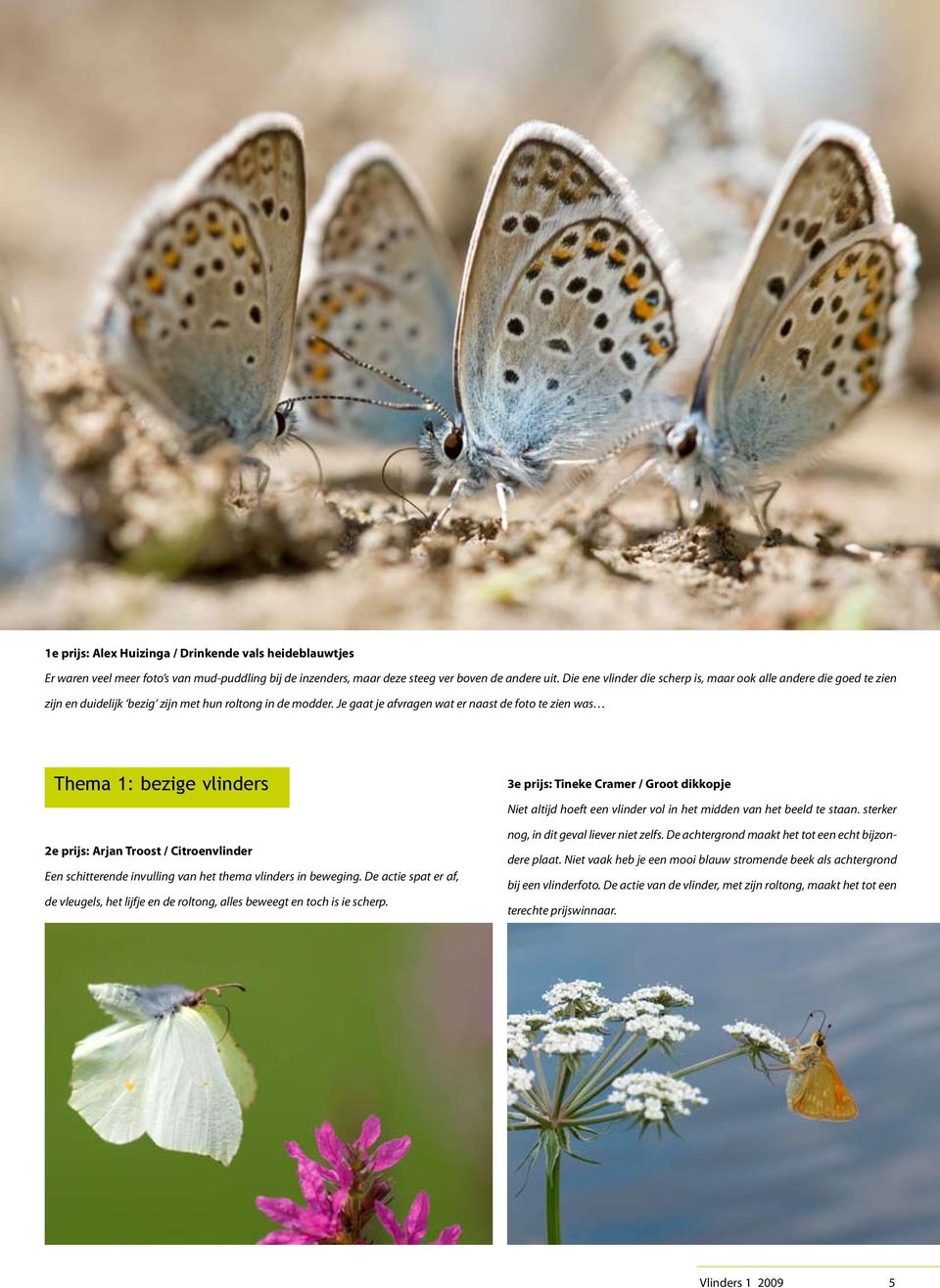 Je gaat je afvragen wat er naast de foto te zien was Thema 1: bezige vlinders 2e prijs: Arjan Troost / Citroenvlinder Een schitterende invulling van het thema vlinders in beweging.