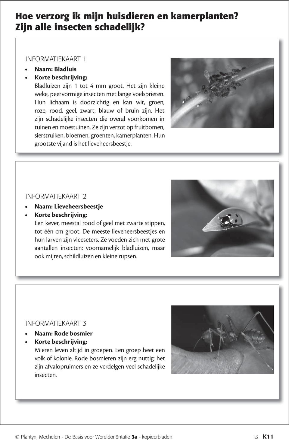 Het zijn schadelijke insecten die overal voorkomen in tuinen en moestuinen. Ze zijn verzot op fruitbomen, sierstruiken, bloemen, groenten, kamerplanten. Hun grootste vijand is het lieveheersbeestje.