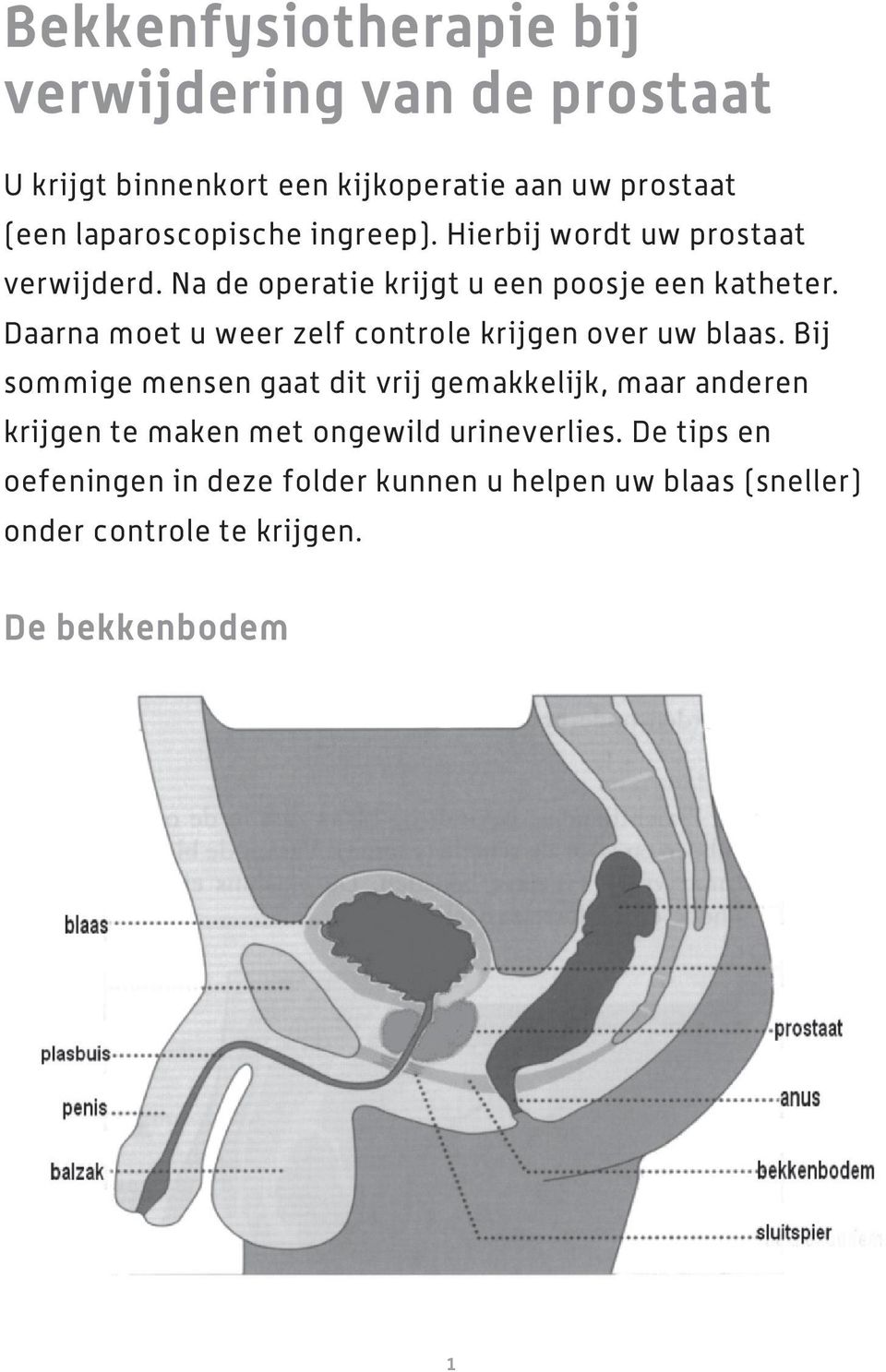 Daarna moet u weer zelf controle krijgen over uw blaas.