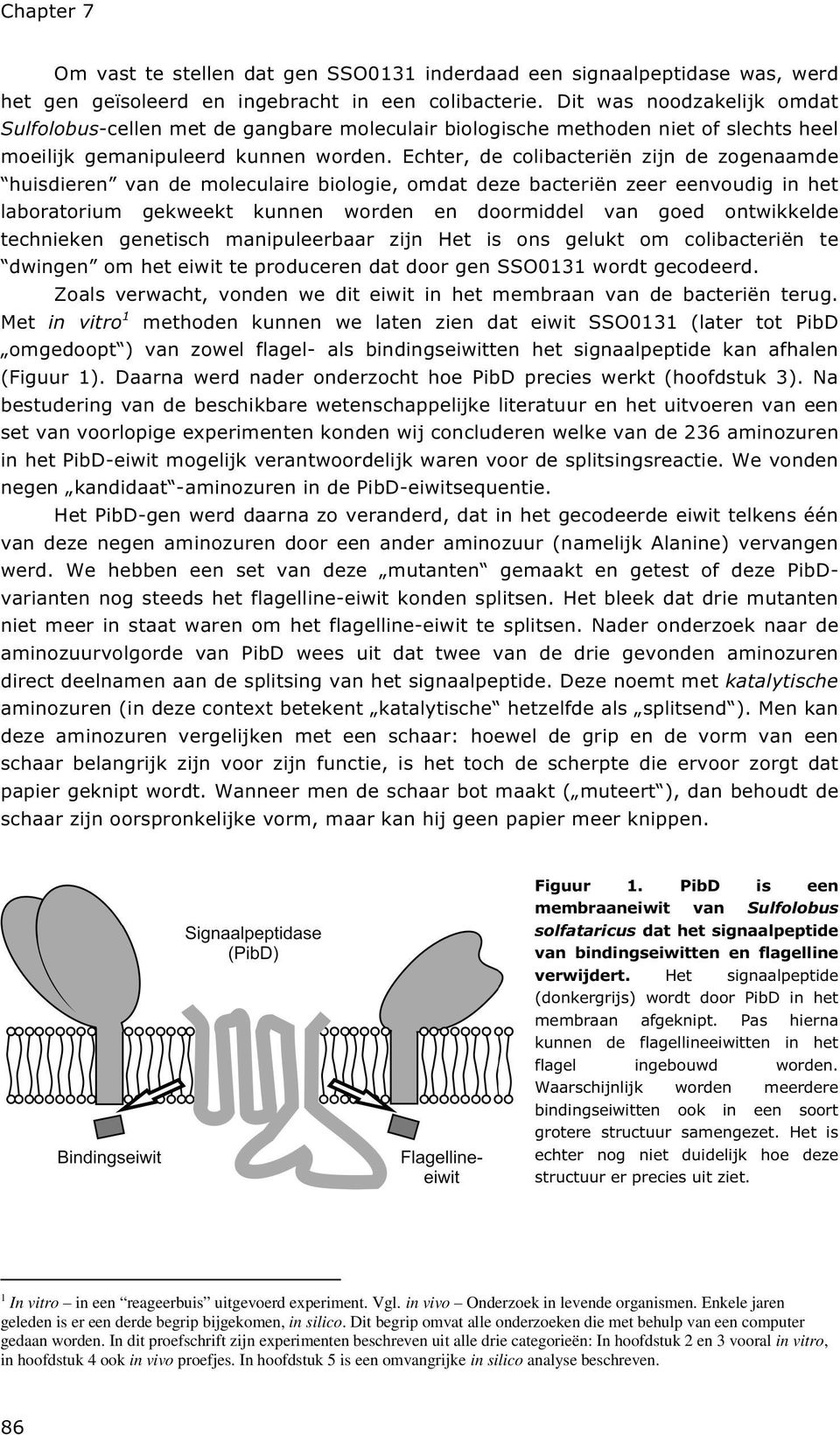 Echter, de colibacteriën zijn de zogenaamde huisdieren van de moleculaire biologie, omdat deze bacteriën zeer eenvoudig in het laboratorium gekweekt kunnen worden en doormiddel van goed ontwikkelde