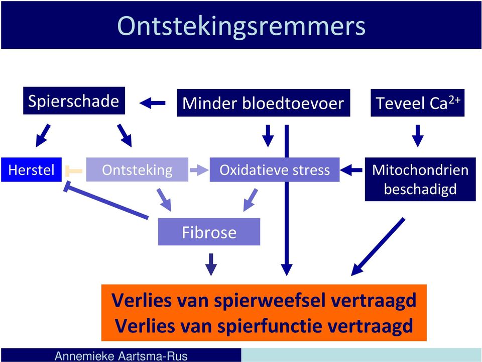 Mitochondrien beschadigd Fibrose Verlies van