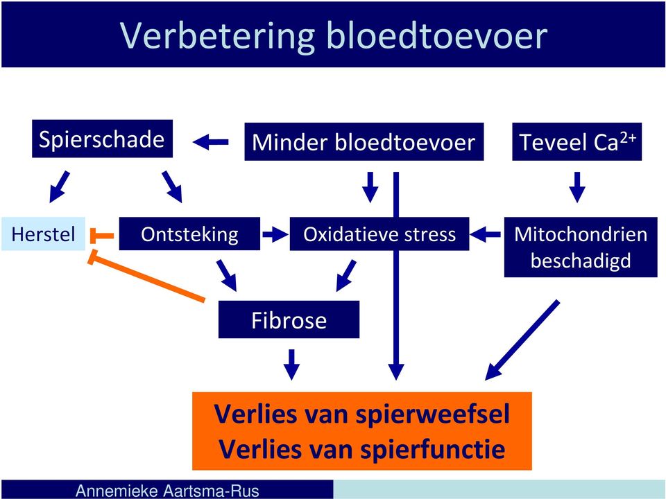 Oxidatieve stress Mitochondrien beschadigd