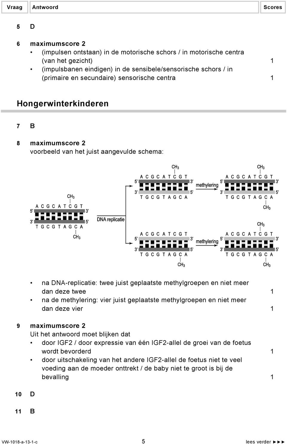 meer dan deze twee 1 na de methylering: vier juist geplaatste methylgroepen en niet meer dan deze vier 1 9 maximumscore 2 door IGF2 / door expressie van één IGF2-allel de groei van de foetus