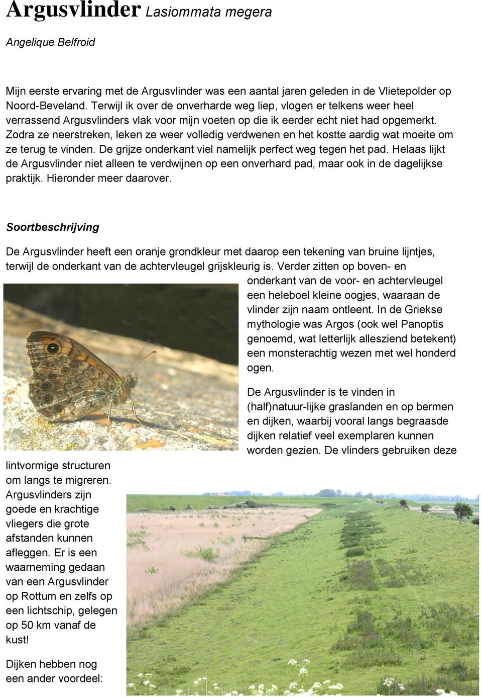 Zodra ze neerstreken, leken ze weer volledig verdwenen en het kostte aardig wat moeite om ze terug te vinden. De grijze onderkant viel namelijk perfect weg tegen het pad.