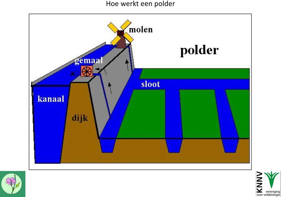 polder