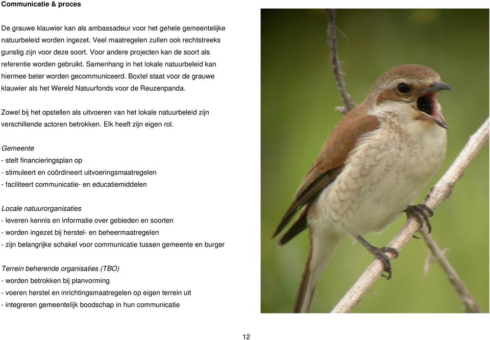 Boxtel staat voor de grauwe klauwier als het Wereld Natuurfonds voor de Reuzenpanda. Zowel bij het opstellen als uitvoeren van het lokale natuurbeleid zijn verschillende actoren betrokken.