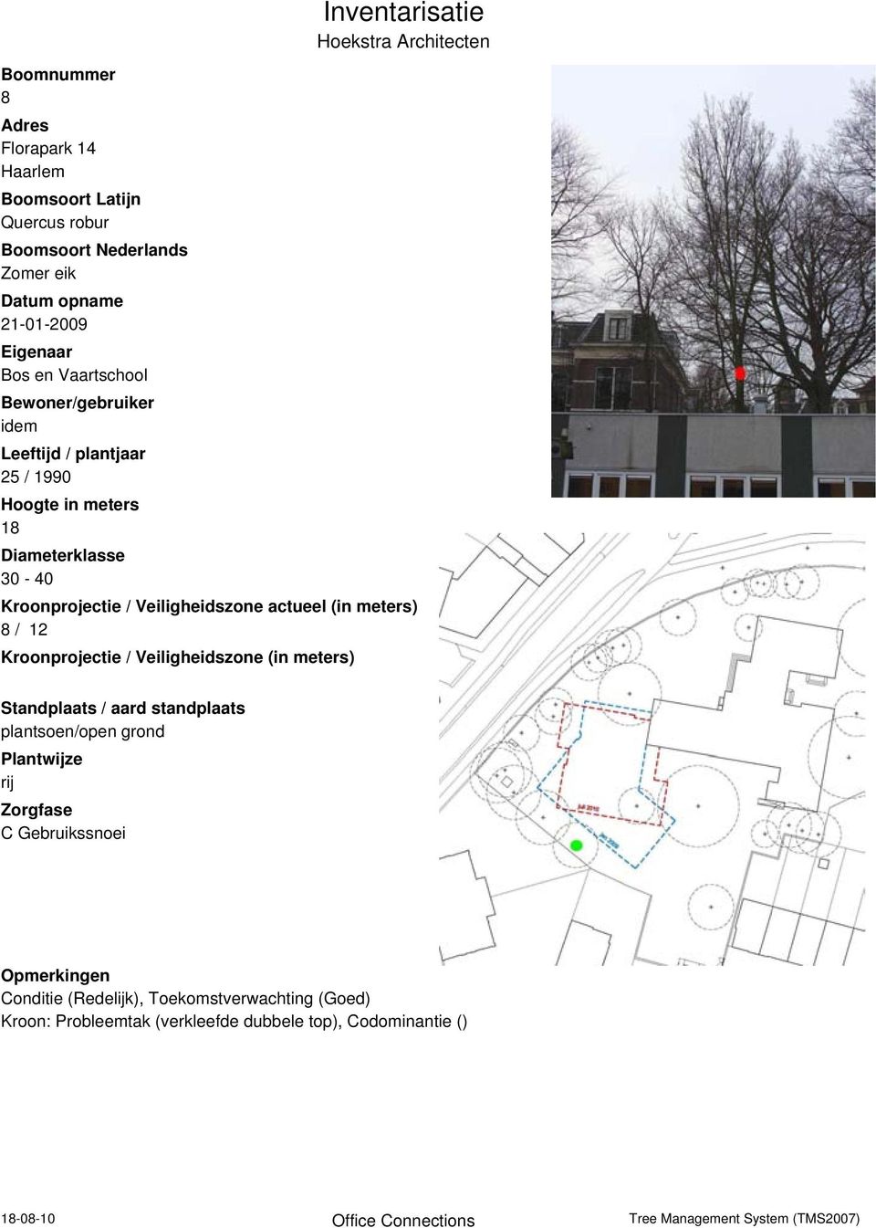 Veiligheidszone actueel (in meters) 8 / 12 Kroonprojectie / Veiligheidszone (in meters) Standplaats / aard standplaats plantsoen/open grond