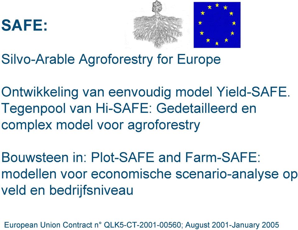 Tegenpool van Hi-SAFE: Gedetailleerd en complex model voor agroforestry Bouwsteen