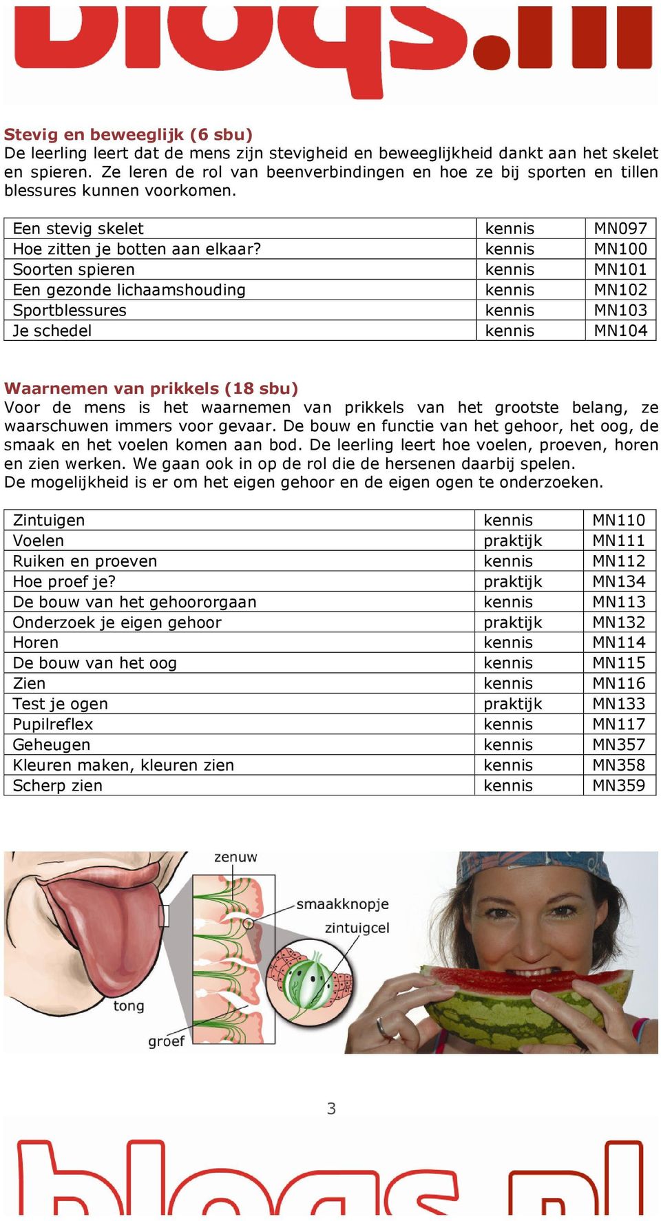 kennis MN100 Soorten spieren kennis MN101 Een gezonde lichaamshouding kennis MN102 Sportblessures kennis MN103 Je schedel kennis MN104 Waarnemen van prikkels (18 sbu) Voor de mens is het waarnemen