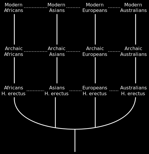 Multiregionale model Uitgangspunt: Homo sapiens is product van verschillende ontwikkelingslijnen,allen teruggaand