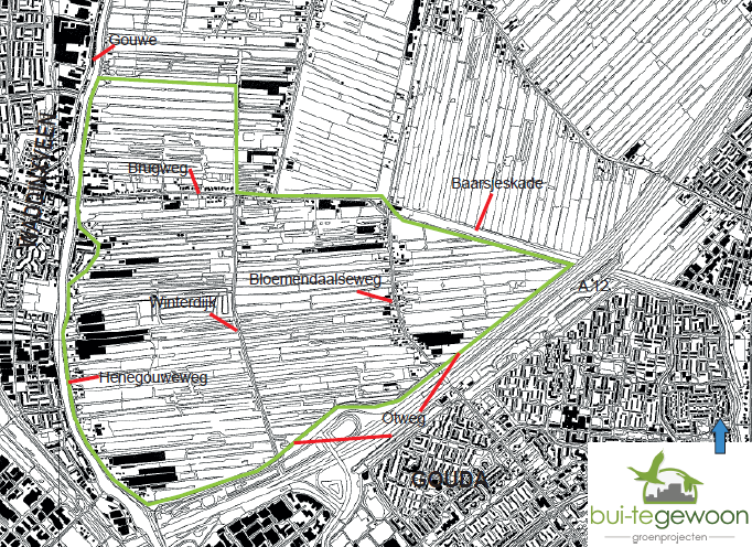 Ook in het gebied ten oosten van de Bloemendaalseweg zijn geen hoofdberoepsbedrijven meer aanwezig. Van één direct aangrenzende melkveebedrijf zijn de veldkavels in deze polder gelegen.