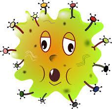 De microbiële dynamiek De microbiële gemeenschap, microflora of is een levend geheel; dit wil zeggen dat het continue verandert