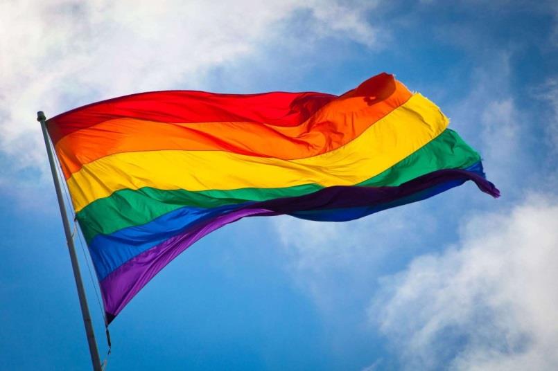 Op school, op straat, op het werk, in de zorg, in de sport, in de sociale kring of waar dan ook. De regenboogvlag symboliseert dit voor LHBT s (Lesbisch/ Homo/ Biseksueel/ Transgender).