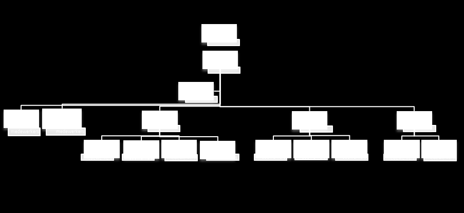 Structuur van Trevianum De rechtspersoon van Trevianum scholengroep is de stichtingsvorm, opgericht in 1998. De statuten zijn in december 2011 gewijzigd en notarieel vastgelegd.