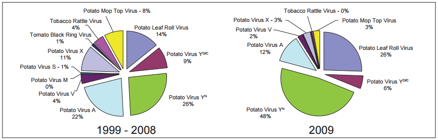 Aardappelvirus Y Wilga mogelijke problemen voor de certificering PVY wint algemeen aan belang tov.