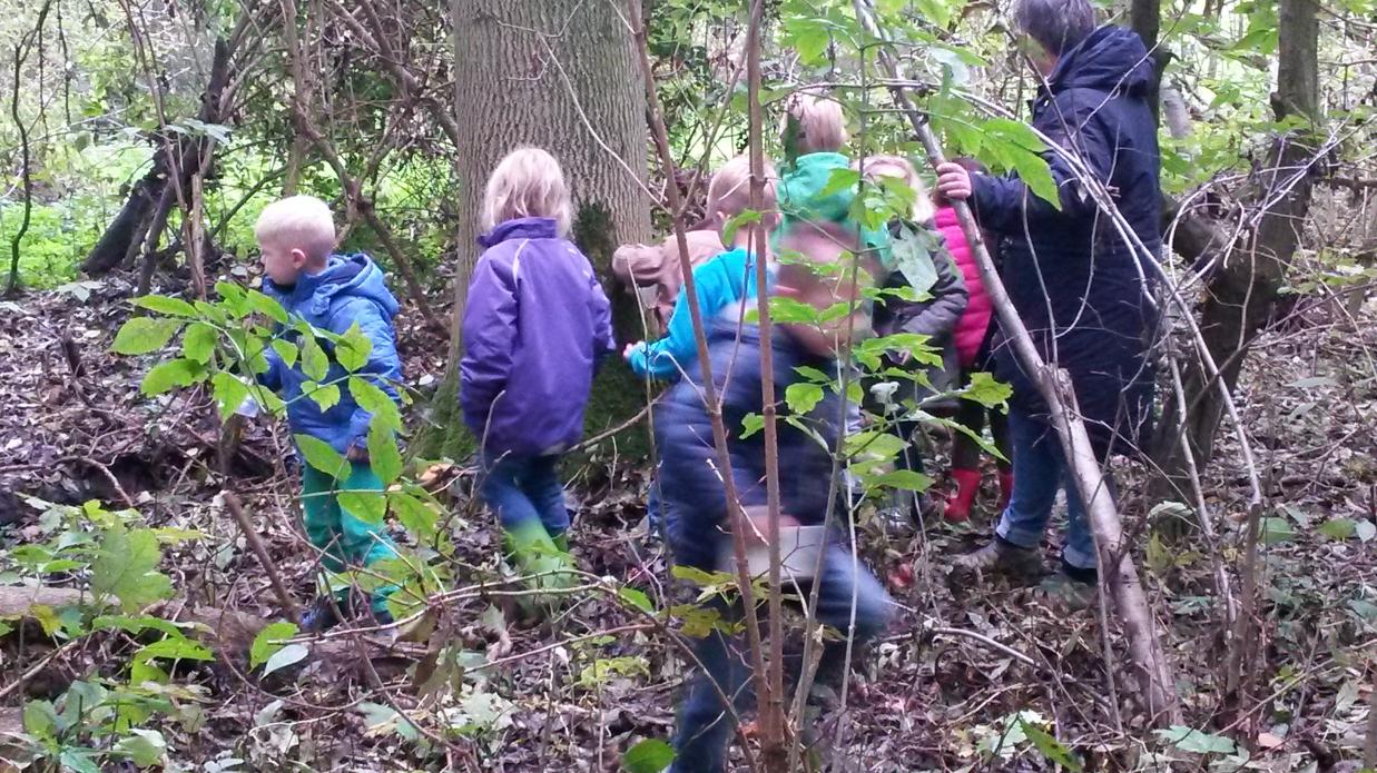 de Oehoe Het om-de-week-bericht van openbare basisschool de Tamboerijn Conradpark 18 2441 AG Nieuwveen 0172 539502 schoolleider@obsdetamboerijn.nl www.obsdetamboerijn.nl Jaargang 2014-2015, nr.