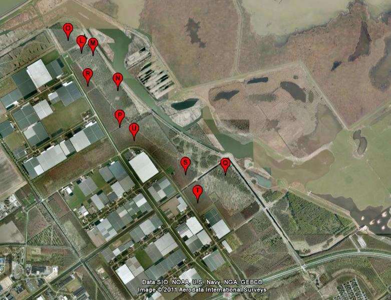 7 Figuur 2 locaties van de plots in het Oostvaardersbos. Alle plots liggen in het begraasde deel. 3.2 Opzet plot De grootte van de onderzoeksplots is 20 x 20 meter.