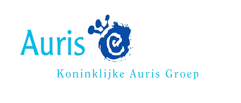 KONINKLIJKE AURIS GROEP VOORZITTER RAAD